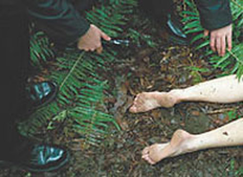 В Унинском районе мужчина расчленил труп убитой им женщины, и фрагменты тела закопал в лесу