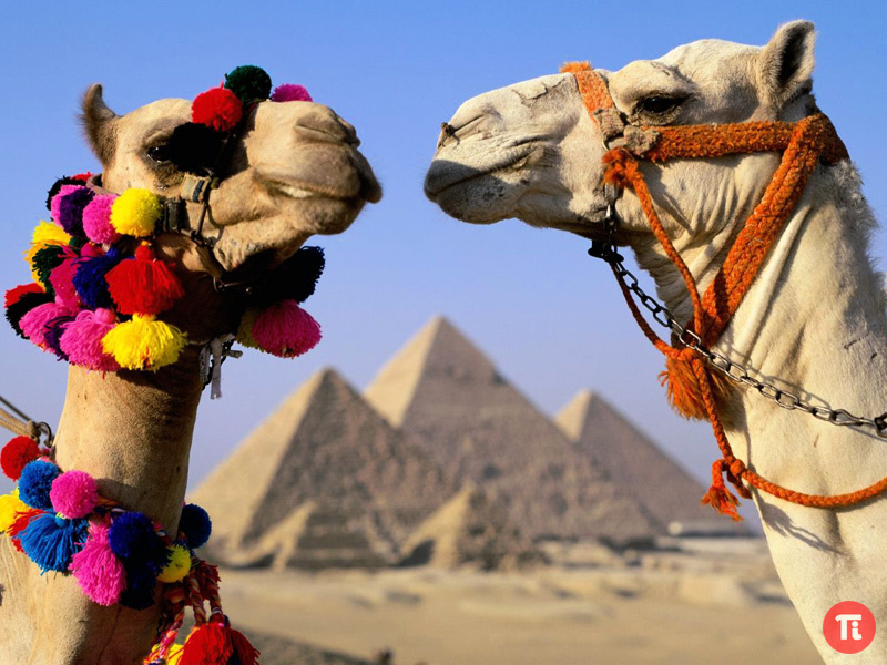 Как выбирать гостиницу, путешествуя в Египте?