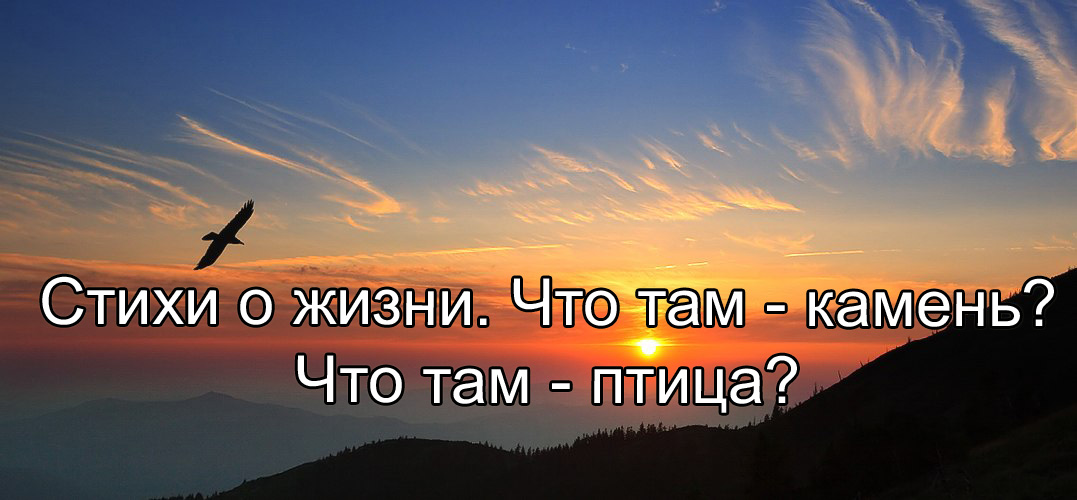 Стихи о жизни. Что там - камень? Что там - птица?